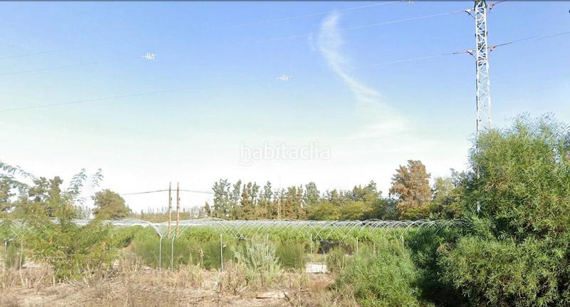 Foto b3294501-e62f-41e5-b78b-badd7c5895ec. Finca rústica  2,5 ha en Almonte Almonte