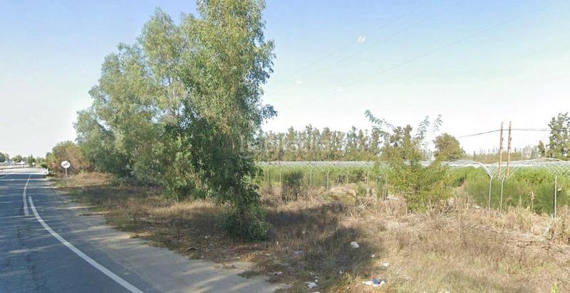 Foto fdee715e-e458-420c-8b72-d2c7715b351d. Finca rústica  2,5 ha en Almonte Almonte