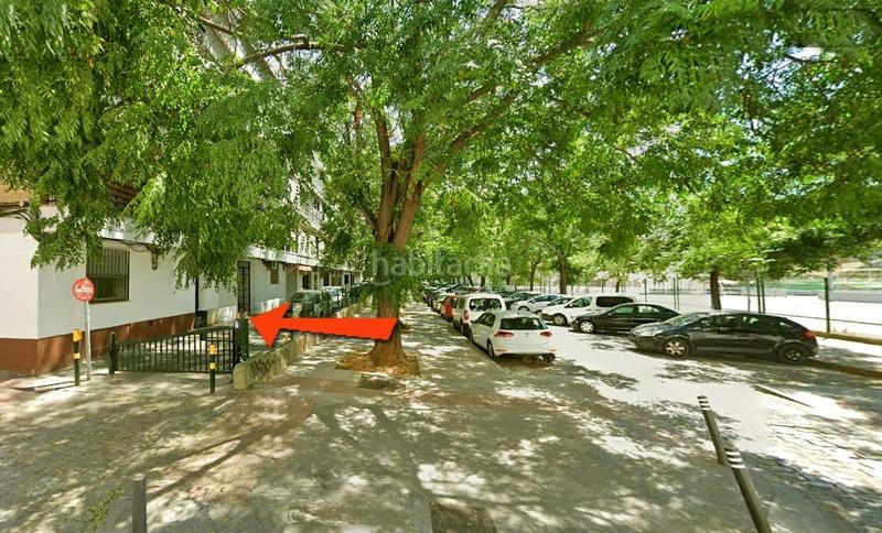 Foto e628ec4a-c79e-4faa-ba85-9b05ddcdd240. Rent business premise in plaza virgen de la amargura 1 in Sevilla