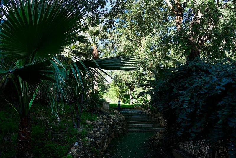 Foto d881576f-2ce7-4b27-83fe-6ce24e512a87. Miete dachwohnung mit pool in Santa Eufemia Tomares