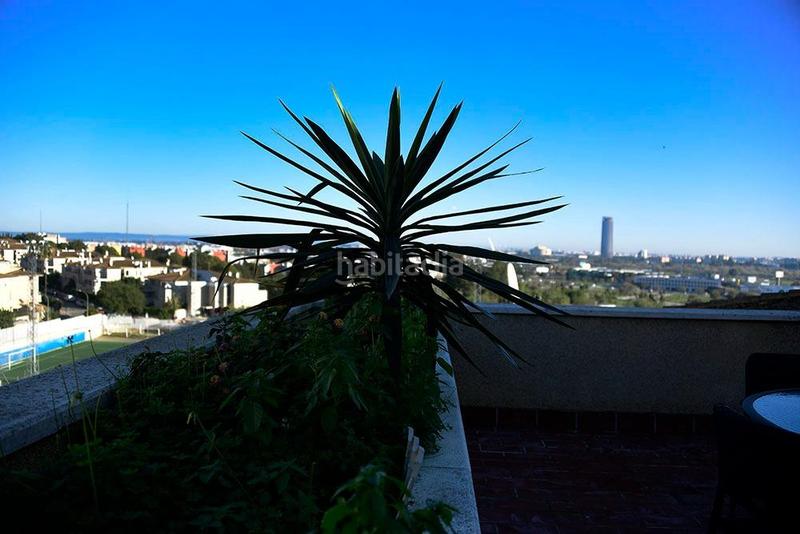 Foto 403b4b23-1d36-4cb9-a798-23d0bb272bfd. Rent penthouse with pool in Santa Eufemia Tomares