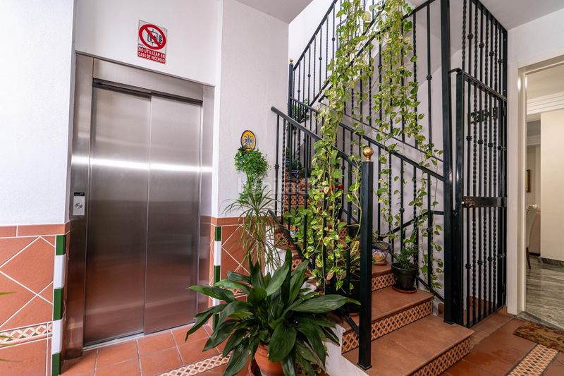 Foto 327aa710-1d00-439a-bef3-8dbae2e094c9. Àtic amb piscina a Triana Este Sevilla