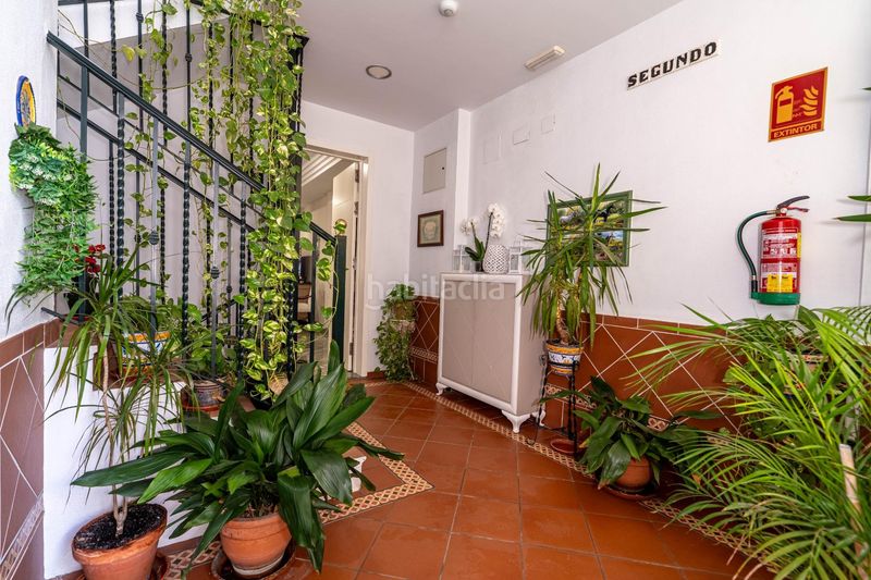 Foto 7d09bf8a-d476-480d-948f-fc196a2a9255. Àtic amb piscina a Triana Este Sevilla