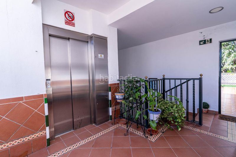 Foto 80def7ce-d9ac-4dc2-9020-a8945f72a784. Àtic amb piscina a Triana Este Sevilla