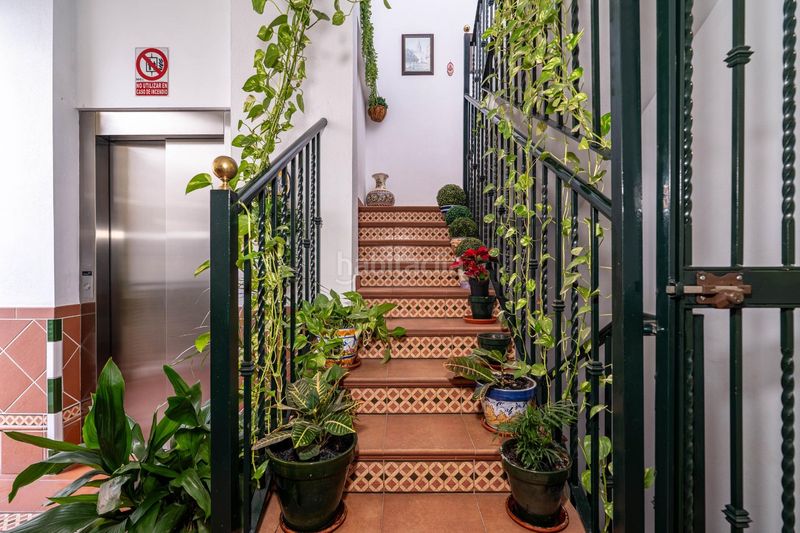 Foto 97ec9b91-b921-4386-8bf9-3e4f3c2539d2. Àtic amb piscina a Triana Este Sevilla