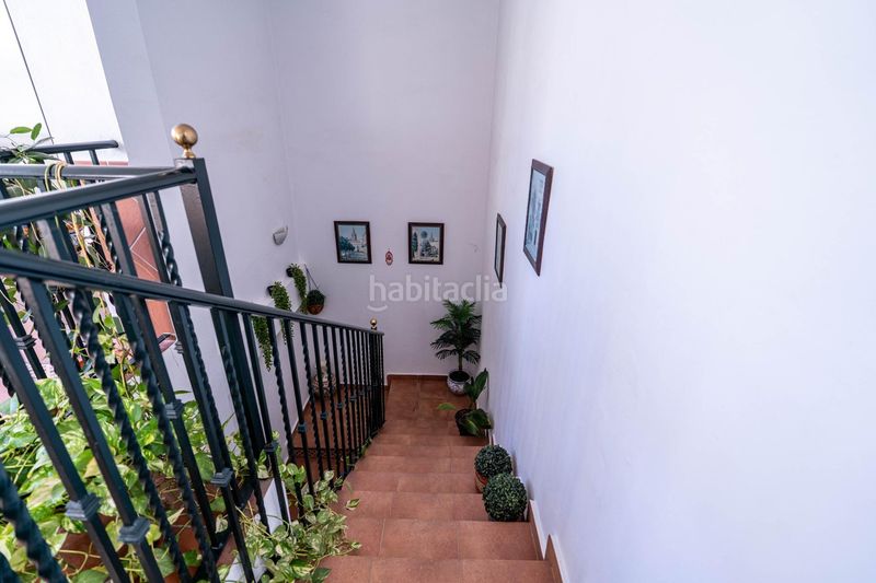 Foto dc7d8bd0-8486-4a20-9010-49067c6fb71b. Àtic amb piscina a Triana Este Sevilla