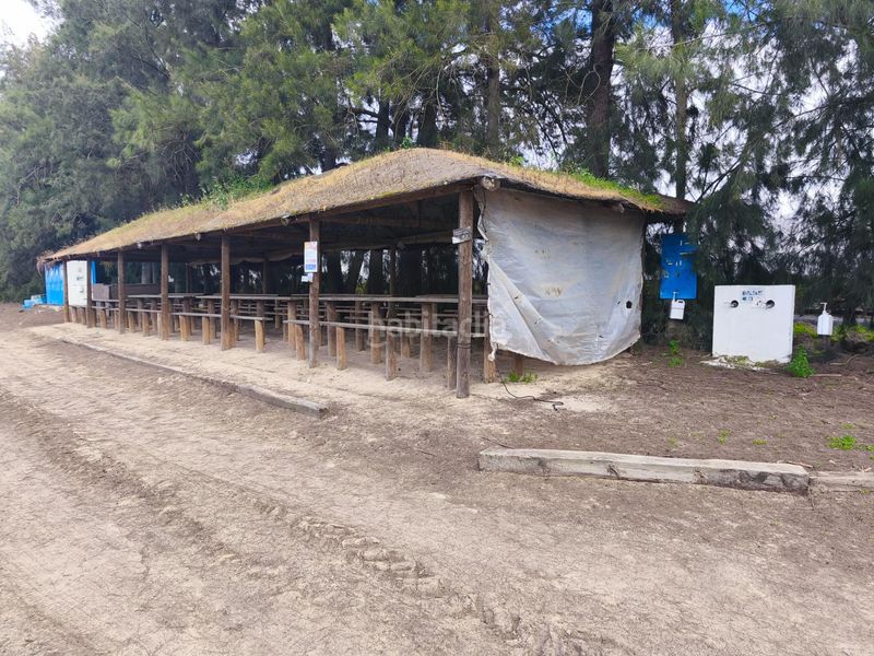 Foto 1a0782a3-11a9-473a-8753-fd0ecc70b97c. Finca rústica a Almonte Almonte
