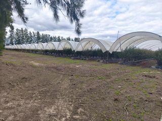 Landgut in Almonte. Finca de 18,7 ha en el rocío. oportunidad de inversión.