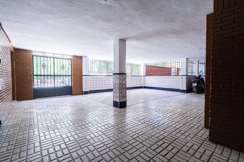 Foto e0851c53-f221-46bf-9a1e-1fb2a3326237. Pis a La Oliva Sevilla