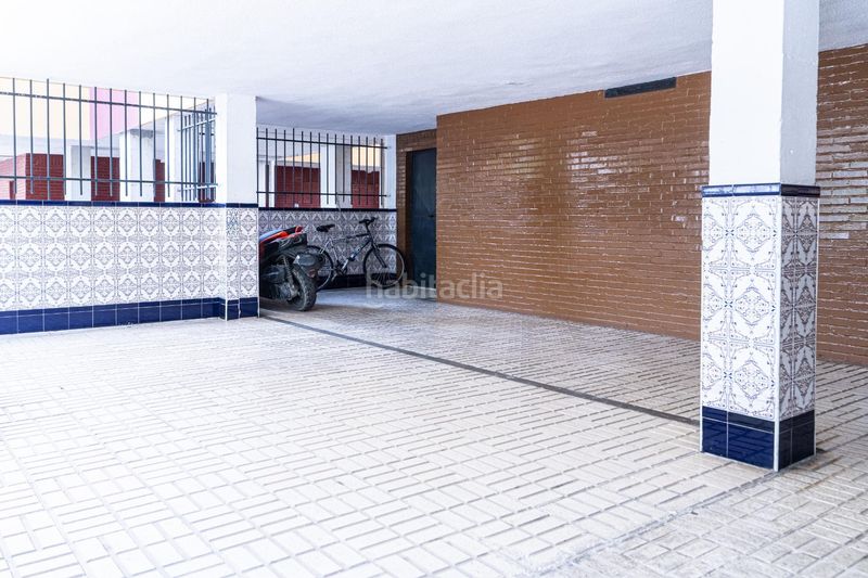 Foto ef8ab89c-978f-4d80-87b6-797cb1a6f419. Pis a La Oliva Sevilla