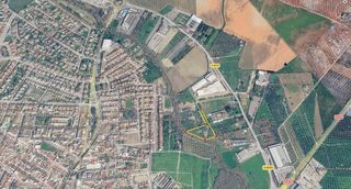 Landgut in Bollullos de la Mitación
