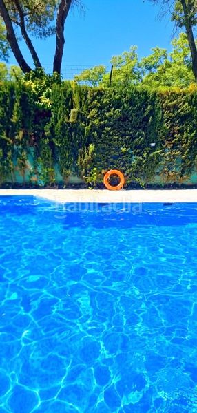 Foto 8b572f76-84a9-4f4d-8427-bca1895214ea. Lloguer apartament amb piscina a Parque Alcosa Sevilla