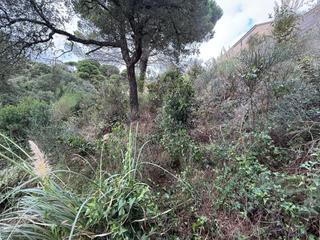 Terreny residencial a Lloret Residencial - Montlloret