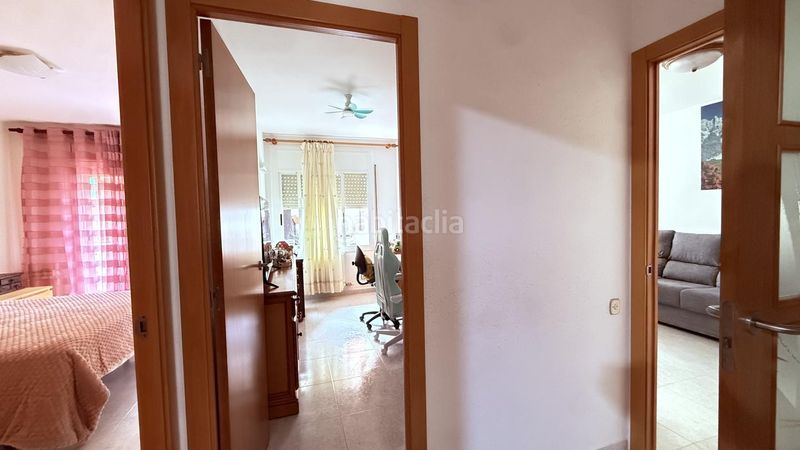 Foto d0fe66fd-18fe-4a4c-9fd1-d9e3a72c4949. Pis a Sant Celoni