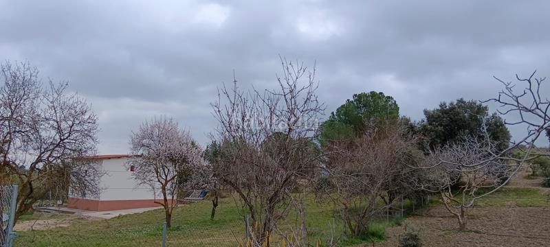 Foto 81622018-6c36-4ef5-99a9-5b34248a667c. Casa casita con terreno en Villarejo de Salvanés