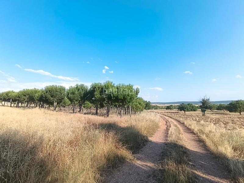 Foto 1f34fa08-316f-4cc0-8dfe-fadf8958189a. Casa amb calefacció aparcament a Solarana