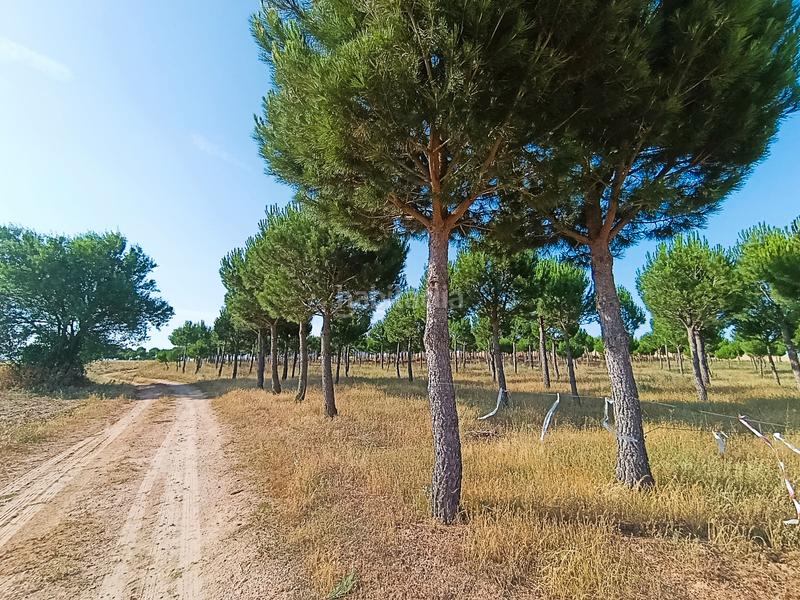 Foto 51a77de7-77bd-4842-bf56-6813caffc521. Casa amb calefacció aparcament a Solarana