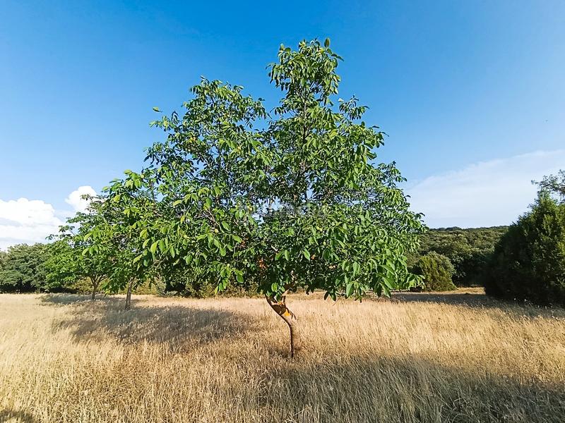 Foto 621ae646-f6de-4186-9dc0-287dde25bb96. Casa amb calefacció aparcament a Solarana