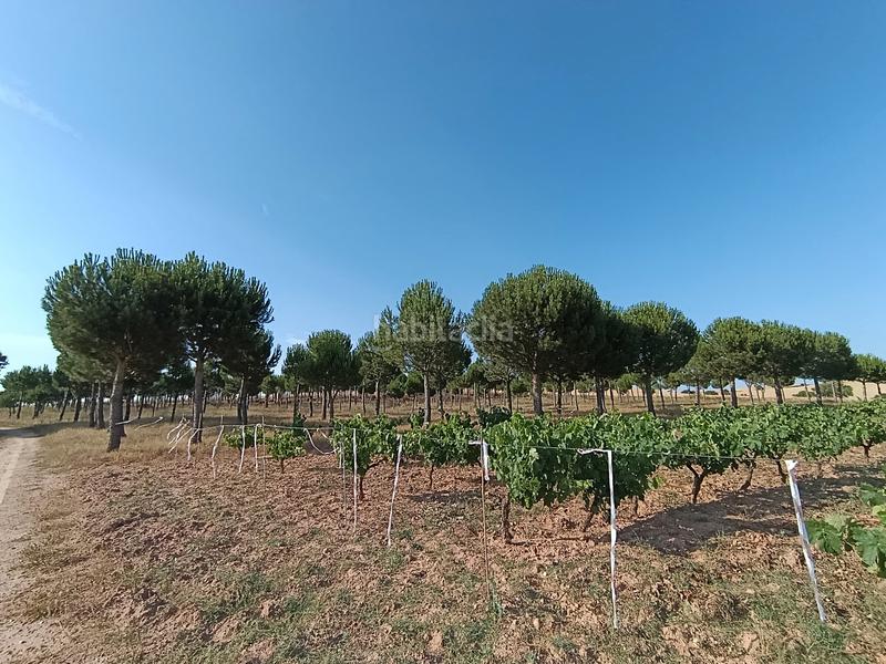 Foto aa07eb1b-837d-418f-a486-7d8d57713fd8. Casa amb calefacció aparcament a Solarana