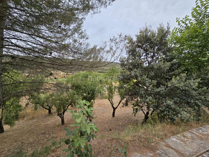 Foto 7b3b77a2-4a9a-4e75-b208-3edae559d726. Fondo rustico in Orusco de Tajuña