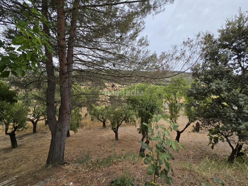 Foto 83ab90ec-b3fc-44ca-9541-32efaebcd5ff. Fondo rustico in Orusco de Tajuña