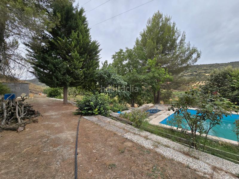 Foto 917aa4fa-8816-42e6-9f3a-543fe0d69252. Fondo rustico in Orusco de Tajuña