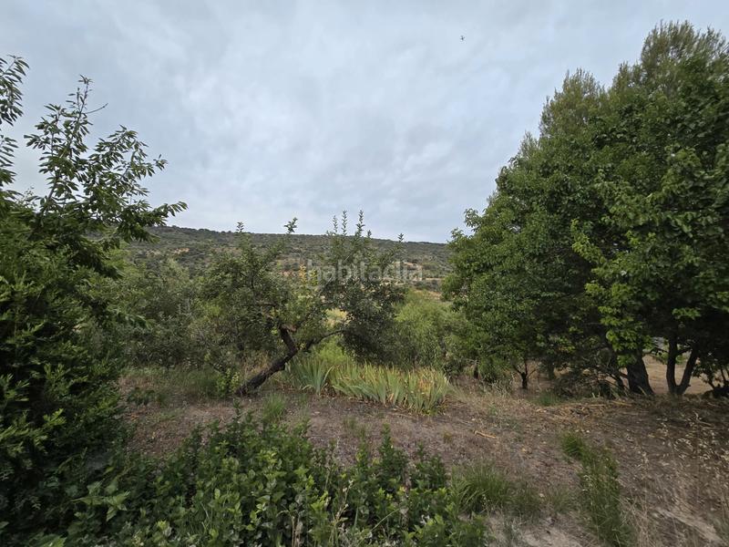 Foto d6020d53-9bf9-41ed-93c5-8d70c998387f. Fondo rustico in Orusco de Tajuña