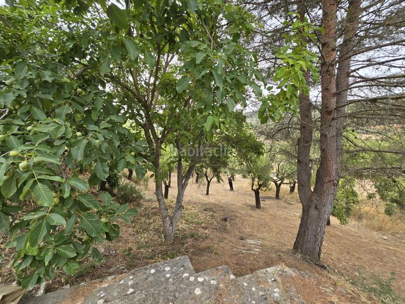 Foto eea33f96-3967-4c58-bd27-662cbc55a179. Fondo rustico in Orusco de Tajuña