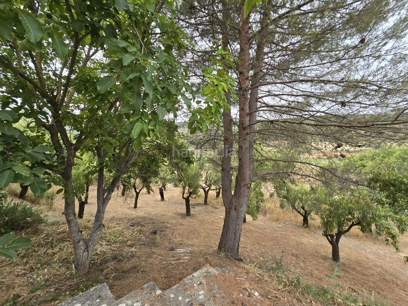 Foto ff07513f-b361-47dd-b89e-b484e93adb09. Fondo rustico in Orusco de Tajuña