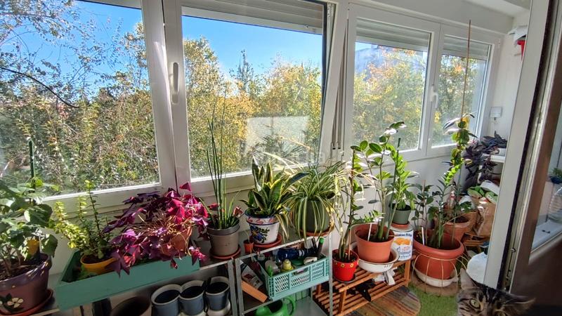 Foto 5cf50209-2477-4a60-bcca-613d60de9ecc. Piso en San Cristóbal Madrid