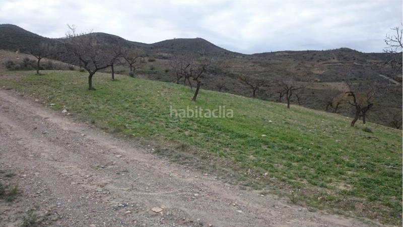 Foto 88083edb-fcf3-46e4-bbff-8df06fb6c7a5. Finca rústica a Cantoria