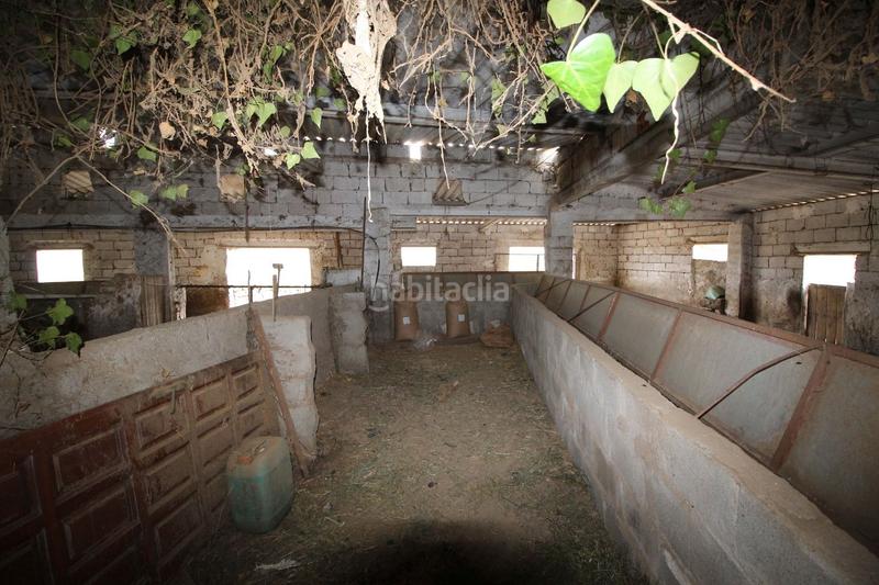 Foto 63743ba1-a9e3-4690-8aec-4426973c46fc. Masía en Huércal - Overa