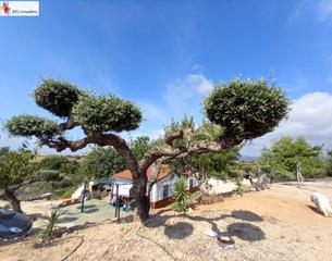 Country house in Ampolla (L´). Magnífica finca en venta cerca de la poblacion de lampolla