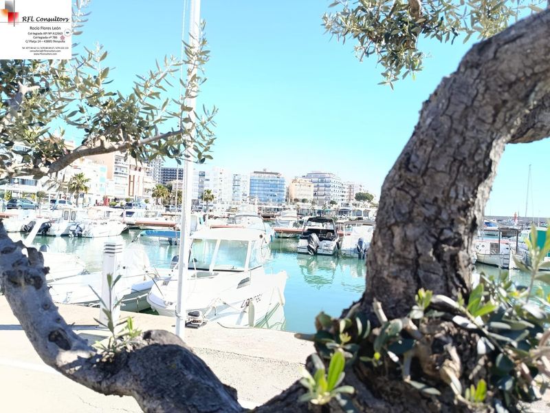 Foto 742536e8-725b-4889-8a3a-6021b095b5b6. Apartament amb calefacció a Ampolla (L´)