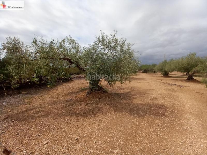 Foto 004d40c1-ecb6-47e1-91ef-275585ffadb1. Finca rústica finca a la venta en lampolla en Ampolla (L´)