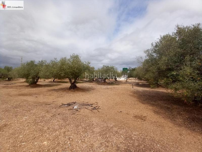 Foto 3f7838df-1b81-4013-ad8a-2bb76074a851. Finca rústica finca a la venta en lampolla en Ampolla (L´)