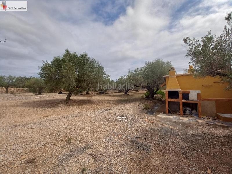 Foto 4bb8dcd4-c78e-4b03-8a5d-9d8c5f90ee5b. Finca rústica finca a la venta en lampolla en Ampolla (L´)