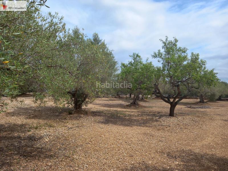 Foto 4dbd17ab-11c1-407f-af52-433a5f5088b7. Finca rústica finca a la venta en lampolla en Ampolla (L´)