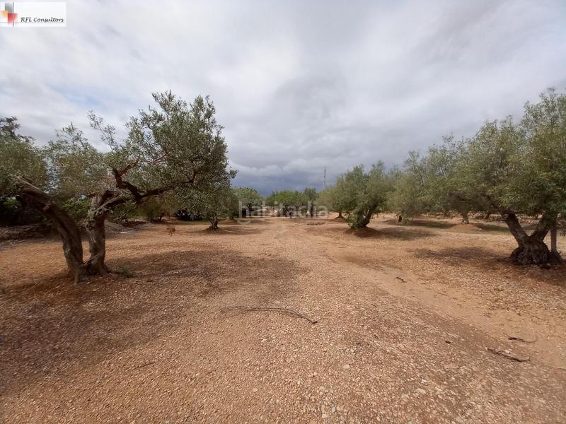 Foto 513d3de3-28f5-4921-aba7-6dd0f5c412cb. Finca rústica finca a la venta en lampolla en Ampolla (L´)