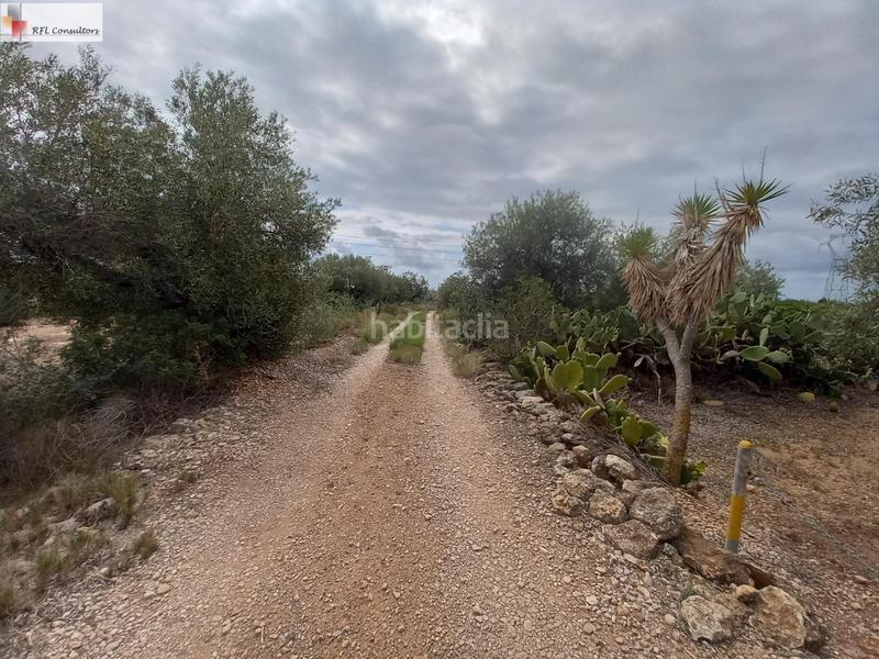 Foto 5e73df1a-b6ed-4701-8b1c-4ac56af44612. Finca rústica finca a la venta en lampolla en Ampolla (L´)