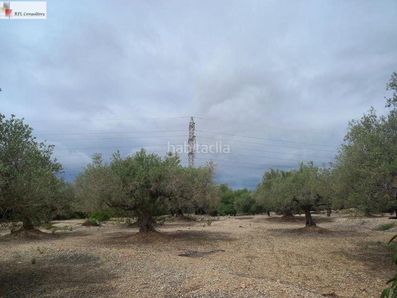 Foto 8409c2ad-b520-4470-87c1-8fef008afa31. Finca rústica finca a la venta en lampolla en Ampolla (L´)
