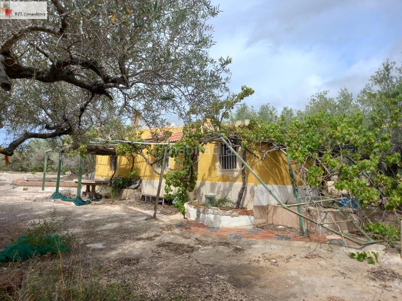 Foto a438c389-6392-44b9-8109-a5a8d4bc4586. Finca rústica finca a la venta en lampolla en Ampolla (L´)