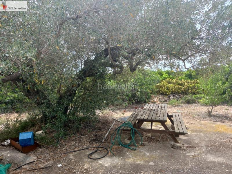 Foto b1194e6d-2eee-49ee-9545-a413c4126345. Finca rústica finca a la venta en lampolla en Ampolla (L´)