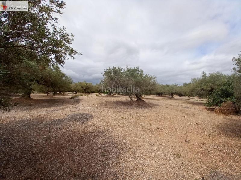 Foto b70f956f-2844-4772-8101-2b6d631da6ca. Finca rústica finca a la venta en lampolla en Ampolla (L´)