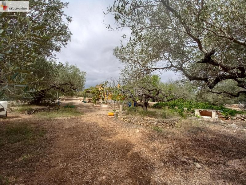 Foto bae72ce1-1ad1-478e-a3ee-277bb942f078. Finca rústica finca a la venta en lampolla en Ampolla (L´)