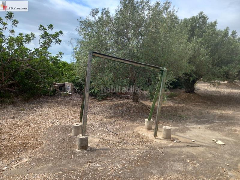 Foto ee56fabb-cc56-4b5e-9ac7-41eeb7617f29. Finca rústica finca a la venta en lampolla en Ampolla (L´)