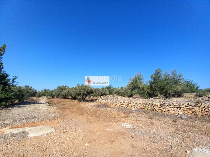 Foto 11ef3acd-9bc3-4822-a741-b4335f7c1cda. Rural plot in Ampolla (L´)