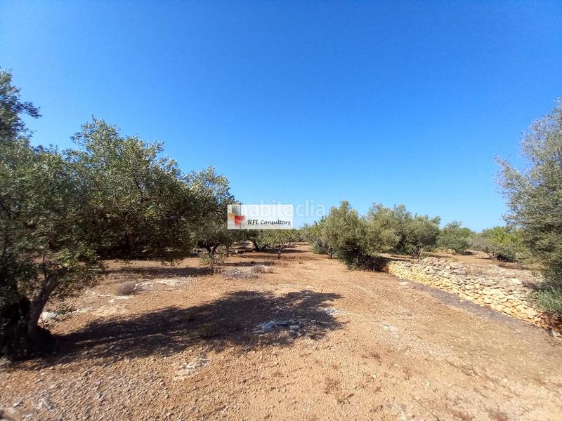 Foto 12b4161d-9d5f-4414-9ca2-eb0c7d632875. Rural plot in Ampolla (L´)