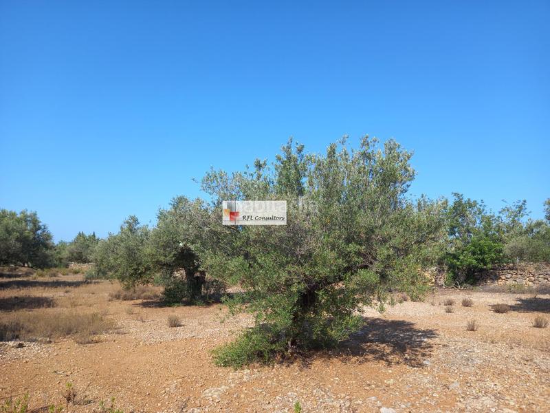 Foto 2173d3eb-807f-4400-8351-ed870b422434. Rural plot in Ampolla (L´)