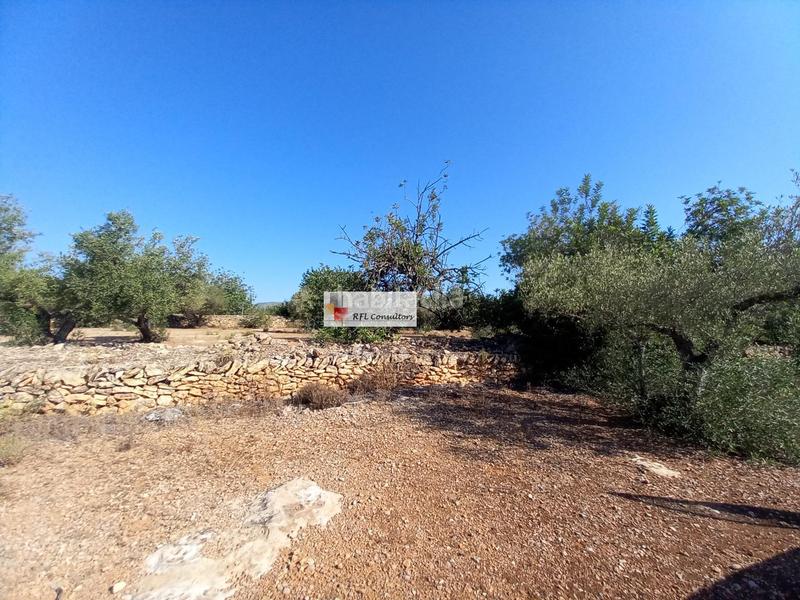 Foto 33516aee-ca38-47eb-be88-3fe22afc1524. Rural plot in Ampolla (L´)